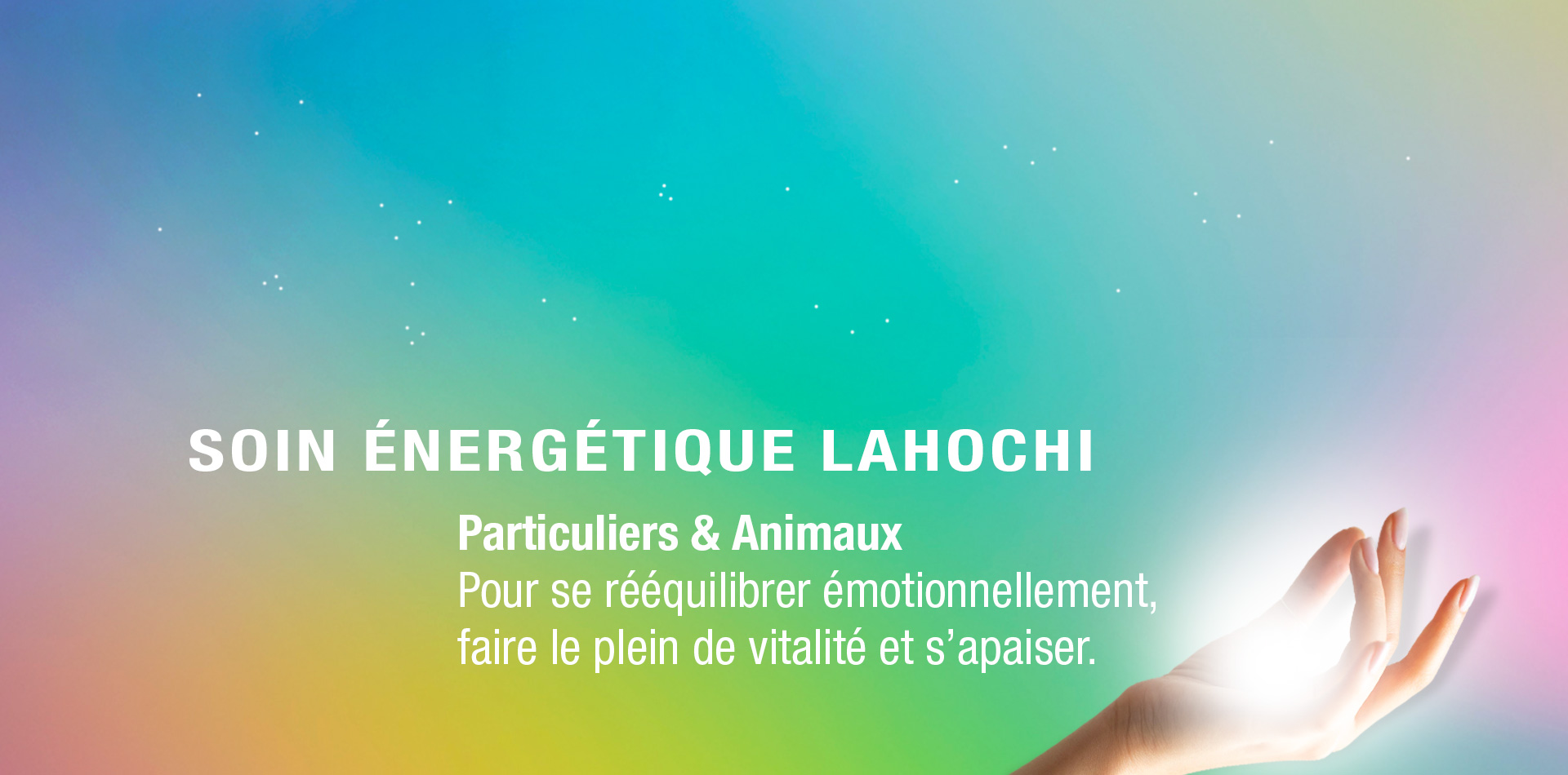 prestation-soin-lahochi-particulier-animaux