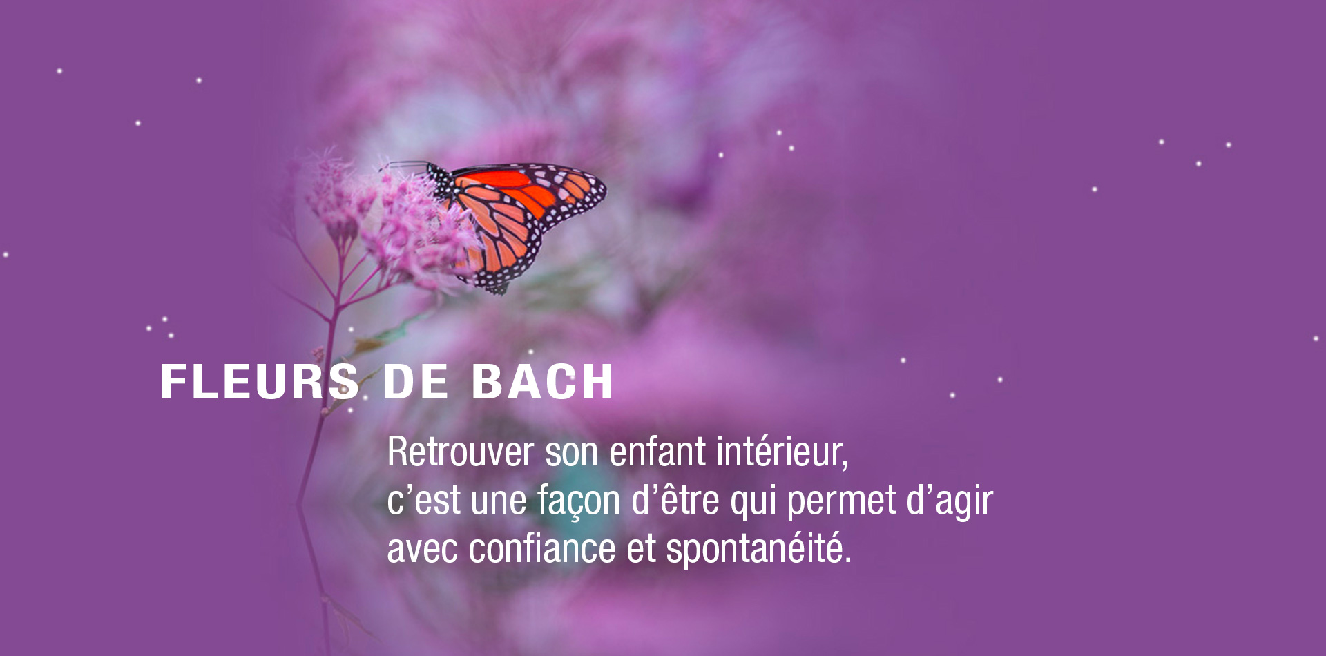 prestations-fleurs-de-bach